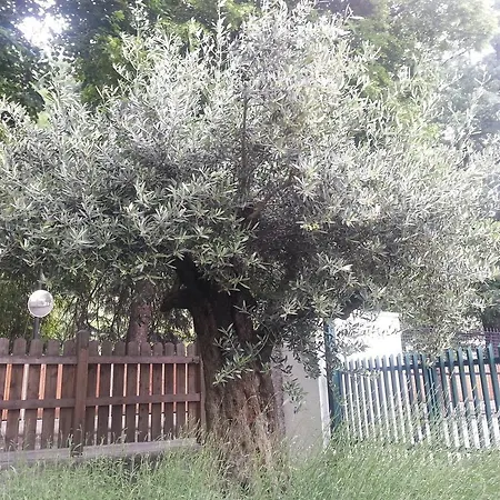 Frühstückspension Jasmin 3*