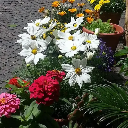 Frühstückspension Jasmin 3*